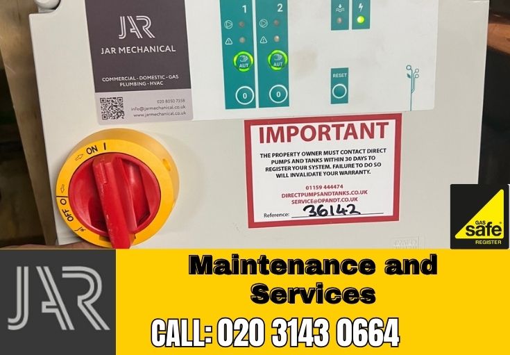 Domestic Maintenance and Services Poplar